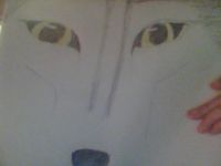 Wolf Eyes